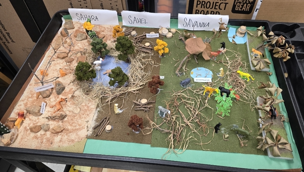 Community and educational outreach